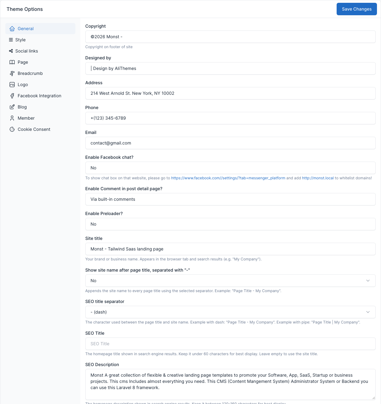 Theme options